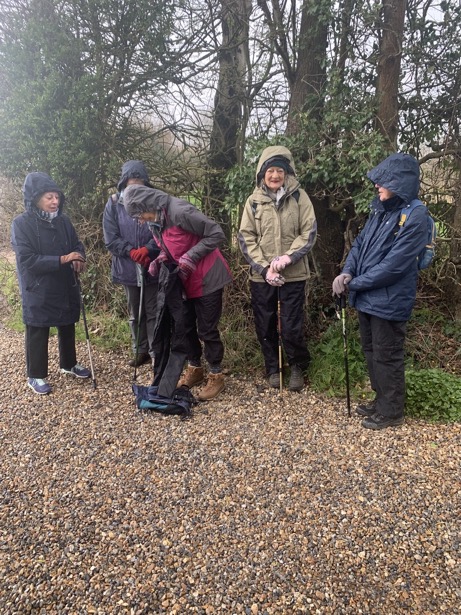 036A03A9-65B5-48B6-80A8-8323E63C1547_1_105_c